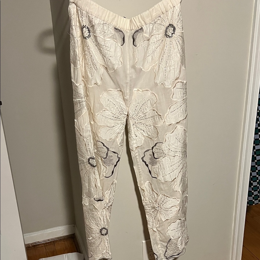 NWT Zara Floral Embroidered Pants